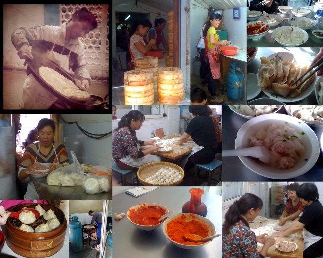 dumpling collage 2